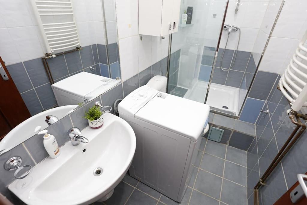 Appartamento 1 Bdrm In Center