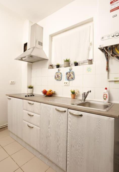 Appartamento 1 Bdrm In Center Bucarest